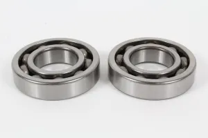 2 Pack Genuine Robin 22G-06101-00 Ball Bearing Fits EX40 060-03503-00