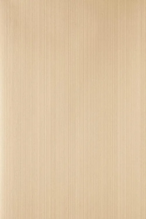 Farrow & Ball Wallpaper Dragged DR1205