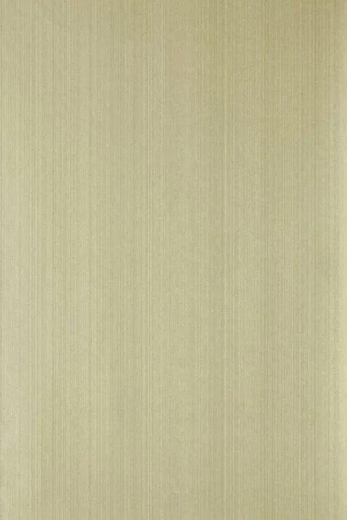 Farrow & Ball Wallpaper Dragged DR1221