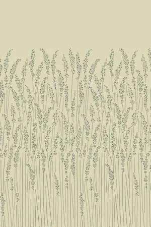 Farrow & Ball Wallpaper Feather Grass BP5105 Cream