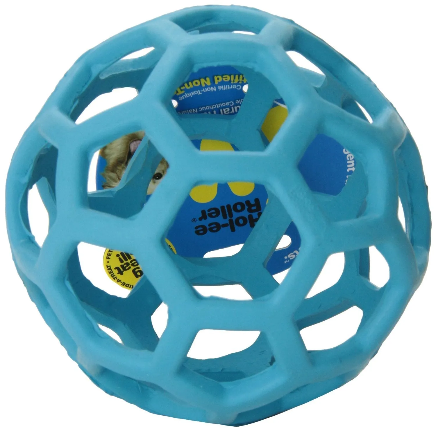 Hol-ee Roller Foraging Ball