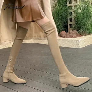 TAVIMART -  Big Size 41 42 10 Pointed Toe Square Chunky Heels Overknees For Women Suede Leather Nude Color Charm Over-the-knee Stretch Boots